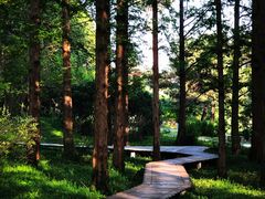 -国家植物园南园