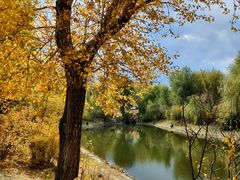 -长春公园(普阳街道)