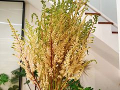 -森野花艺培训·企业团建活动沙龙