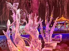 -长春市南湖公园