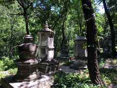 -北京上方山国家森林公园