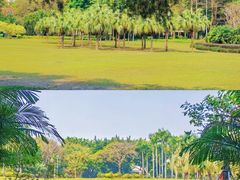 -广州体育学院体操馆