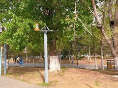 -长白岛森林公园