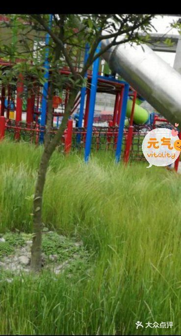 带娃不知道去哪玩？来这里呀