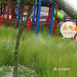 带娃不知道去哪玩？来这里呀