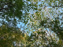 -上海吴淞炮台湾国家湿地公园