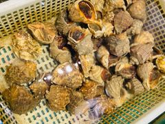 海螺-鲜味食族水产·海鲜餐厅