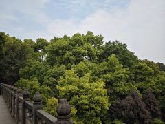 -南山植物园