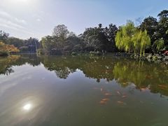 -西湖外事游船(花港观鱼码头)