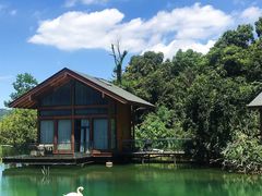 -杭州开元森泊度假乐园