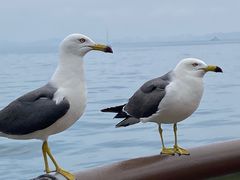 -大连海昌东方水城