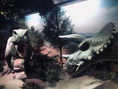 -国家自然博物馆