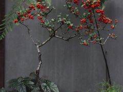 -三圣花乡旅游区