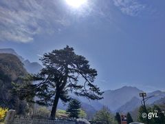 -秦岭终南山世界地质公园翠华山景区