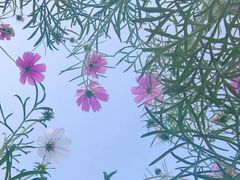 -西昌邛海湿地