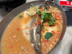 -佬肥猫(七宝宝龙店)