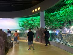 -福州罗源湾海洋世界旅游区