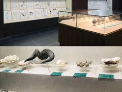 -青海藏文化博物院