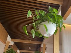-渝信川菜(南滨店)