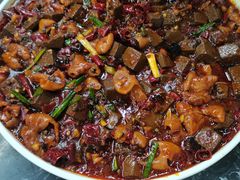 -后卫寨猫耳朵(后卫寨店)