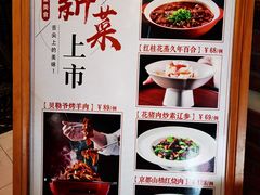 -大鸭梨烤鸭(左家庄店)