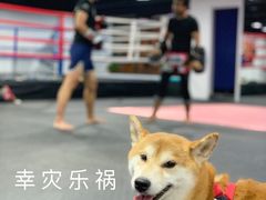-FIGHTMAN格斗俱乐部(长宁临空店)