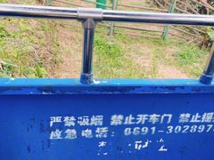 -野象谷景区