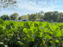 -长春市南湖公园