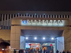 -武汉关码头(轮渡站)