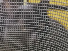 -中农国际动物医院24小时·猫科·骨科·急重症中心