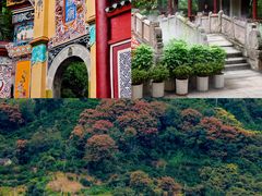 -白帝城·瞿塘峡景区