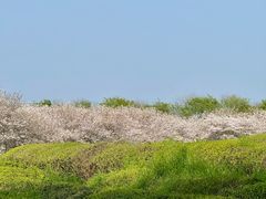 -凤凰沟景区