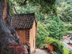 -杨家堂村