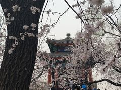 -颐和园