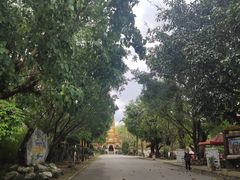 -云南勐巴娜西珍奇园
