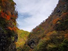 -秦岭风景区