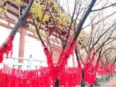 -西安青龙寺遗址景区