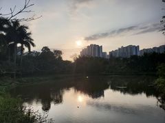 -中澳友谊花园