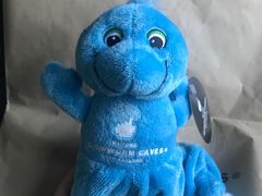 -怀托摩萤火虫洞