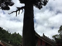 -七曲山风景区