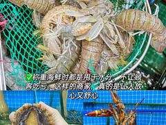 -三亚亚特兰蒂斯度假区