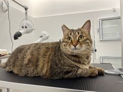 -comecome来吧宠物(奥克斯中心店)