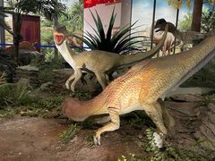 -湖南省地质博物馆