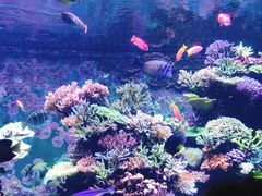 -新加坡海洋生态馆