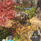 大连市内5个赏秋色秋叶好地方