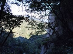 -大岭沟猕猴桃谷风景区