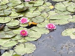 -大连植物园