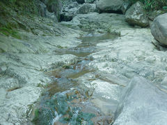 -湖州龙王山景区