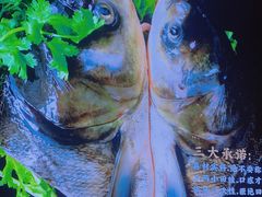 -蛙一刀·麻椒鱼火锅(金仙桥店)