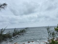 -广东惠东海龟国家级自然保护区